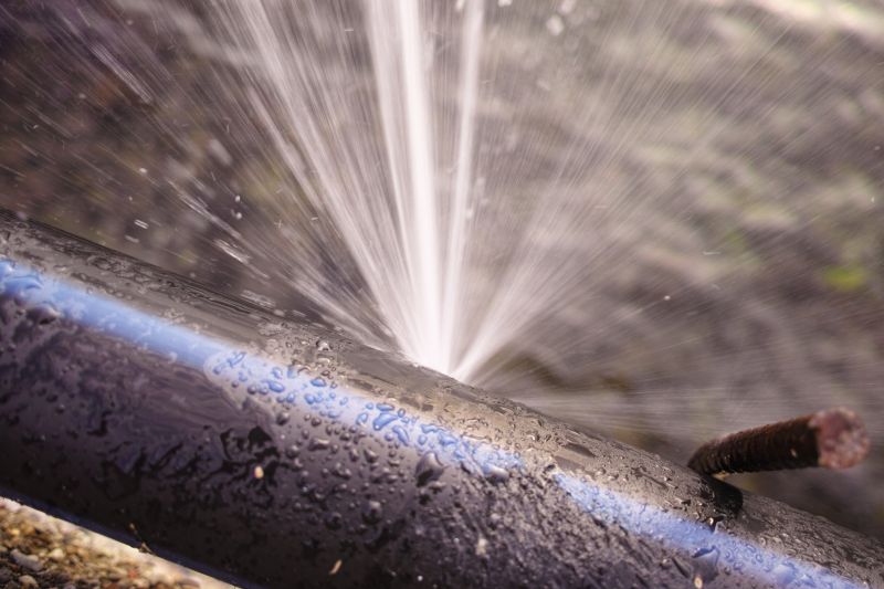 Leaking Pipe Repair detail