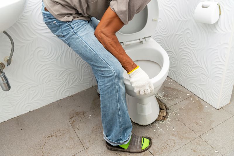 Toilet Replacement detail