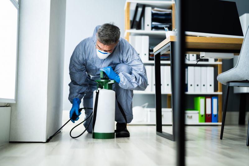 Insect Extermination Service