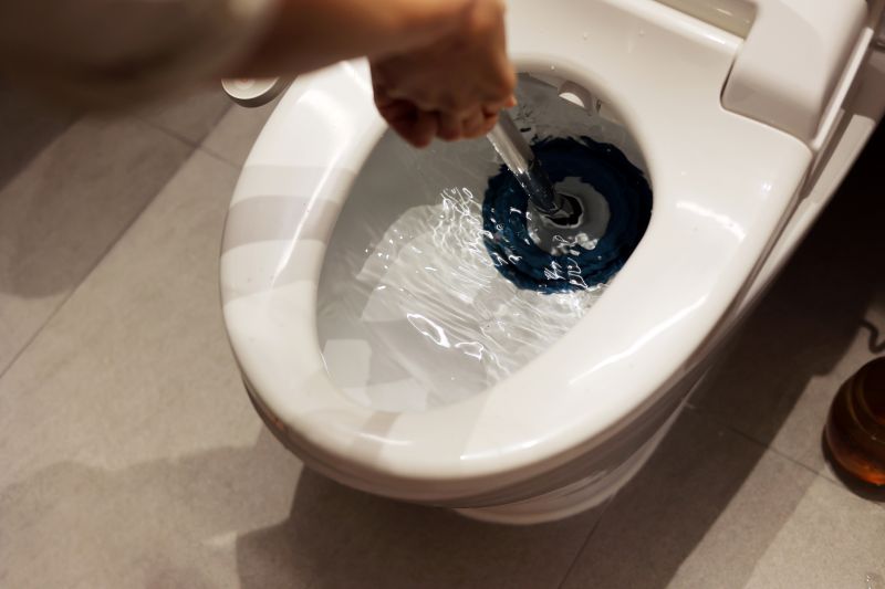 Toilet Clearing